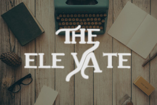 Bring Your Creations to Life with The Elevate Font