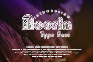 Discover Noerin: The Bold and Creative Display Font