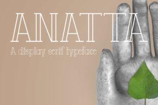 Enhance Your Campaigns with Anatta: A Versatile Sans Serif Typeface