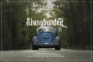 Stangbunder: A Vintage Display Font for Creative Branding
